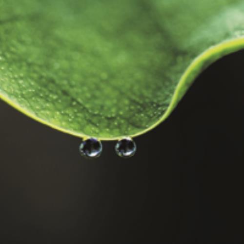 雨过天晴微信头像图片-美丽晴朗的天空头像收集-19