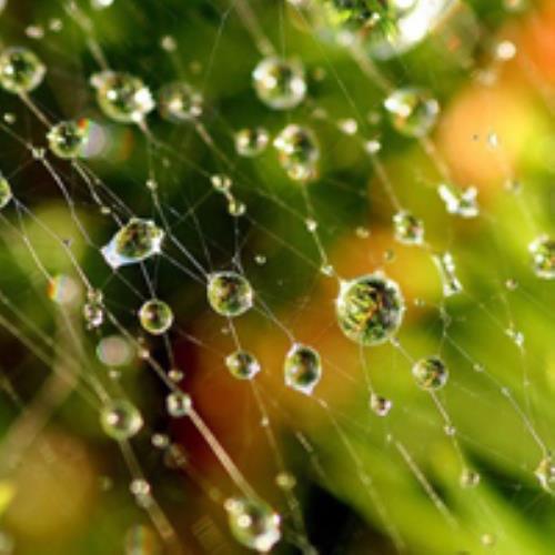 雨过天晴风景图片，美丽的微信头像分享-48