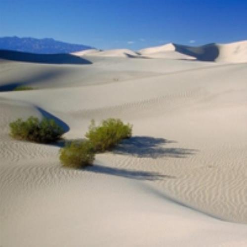 壮观沙漠风景照片头像大全，美不胜收的沙漠风景图片精选-6