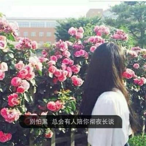 经典文字控女生头像，打动你心的个性签名头像推荐-13