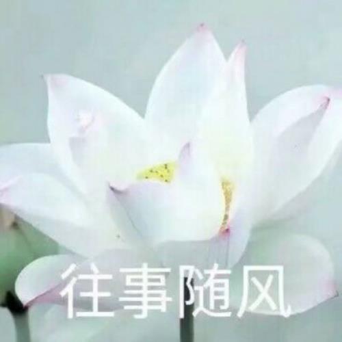 大全老人群头像，数十种老人群头像供您选择-3