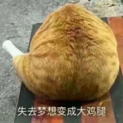 情侣头像猫狗一左一右图片配对，情侣头像猫狗一左一右图片的选择技巧-3