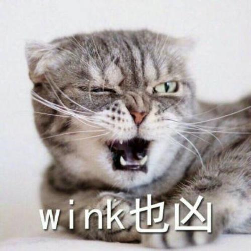 【超凶可爱猫咪带字图片头像】可爱猫咪头像图片带字，超凶表情，啊唔-6