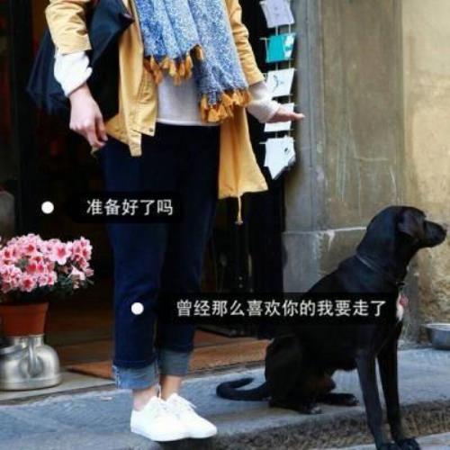 高清伤感女生微信头像图片带字，内涵伤感女生头像图片素材-10