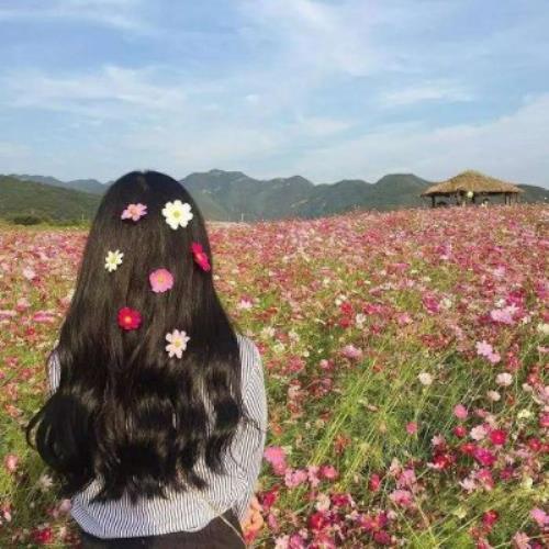 高清清新的干净女背影头像意境图片，优质头像女背影高清素材推荐-14