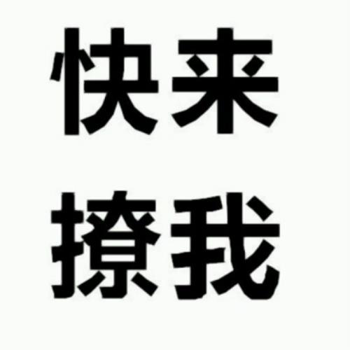 2024年热门文字图片头像，最新流行的头像图片-11