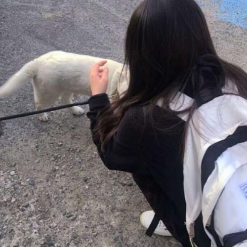 2025年最受欢迎的微信女生头像图片推荐-7