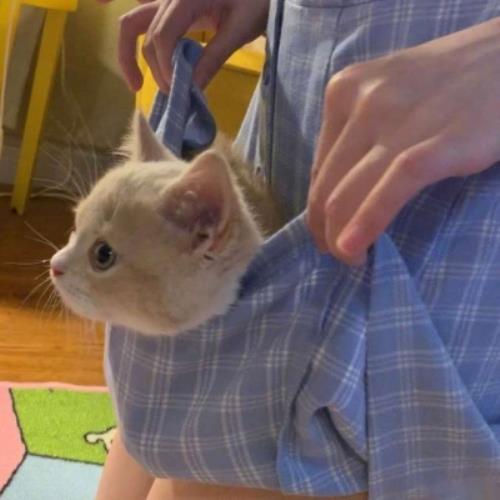 2025年清新自然女生微信头像推荐-4