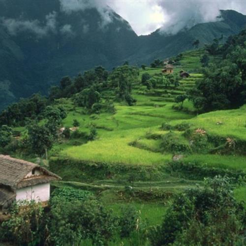 乡村风景头像图片，欣赏最美景色头像图片 - 优质风景头像图片免费下载-10