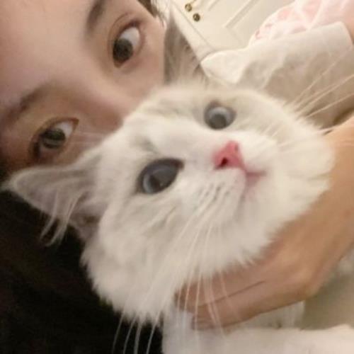 可爱女生猫咪头像高清图片分享，温柔漂亮猫耳少女头像女生可爱萌图-3