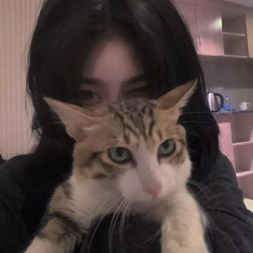 可爱女生猫咪头像高清图片分享，温柔漂亮猫耳少女头像女生可爱萌图-5