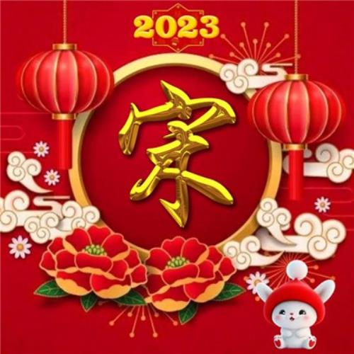 2054年新年兔年姓氏头像图片，不可错过的气氛佳图-2