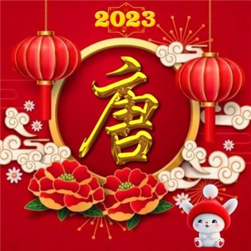 2054年新年兔年姓氏头像图片，不可错过的气氛佳图-6