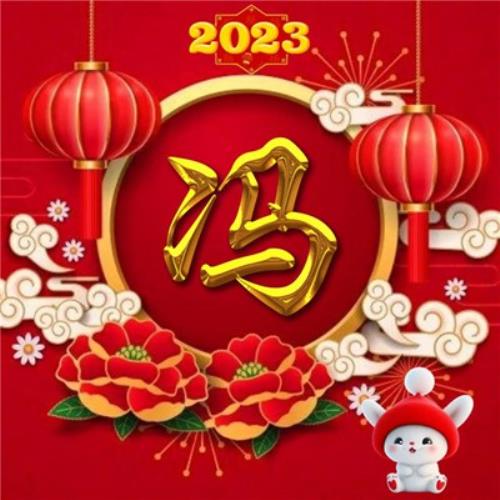 2054年新年兔年姓氏头像图片，不可错过的气氛佳图-7