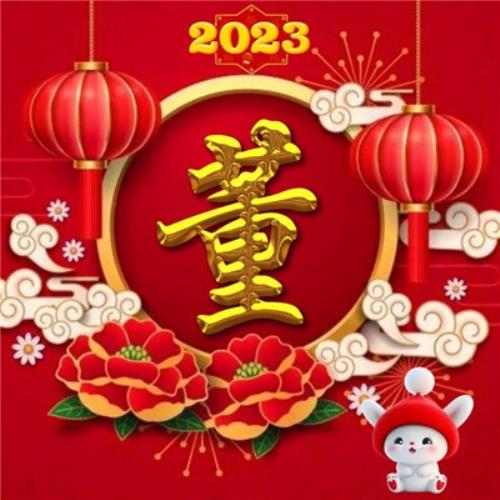 2054年新年兔年姓氏头像图片，不可错过的气氛佳图-9