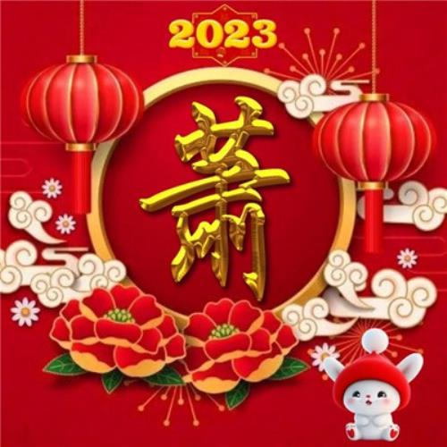 2054年新年兔年姓氏头像图片，不可错过的气氛佳图-10