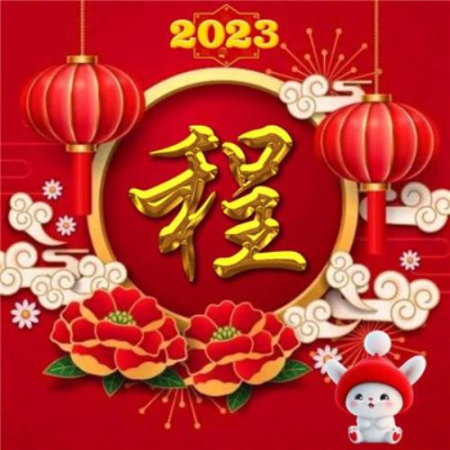 2054年新年兔年姓氏头像图片，不可错过的气氛佳图-11