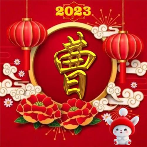 2054年新年兔年姓氏头像图片，不可错过的气氛佳图-12