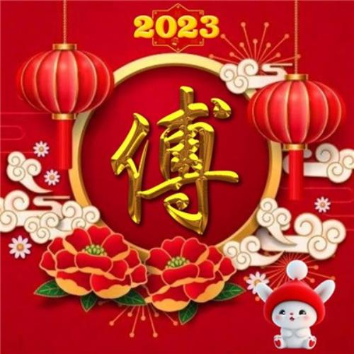 2054年新年兔年姓氏头像图片，不可错过的气氛佳图-16