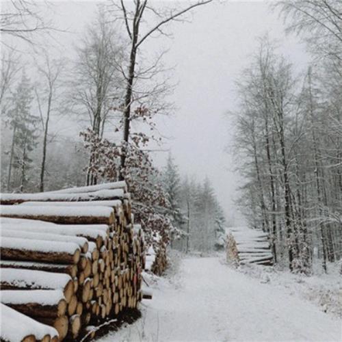 唯美高清雪景图片大全，适合微信头像使用-24