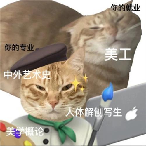 "解救无聊！搞笑猫咪表情包头像图片，为你带来快乐"-8