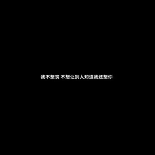 治愈系微信头像图片，白底黑字文字哲理图片头像制作-36