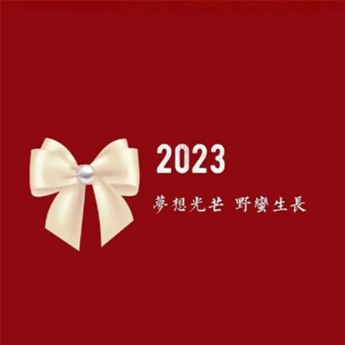 2024字超赞头像生成工具-免费微信好运来头像制作器-29