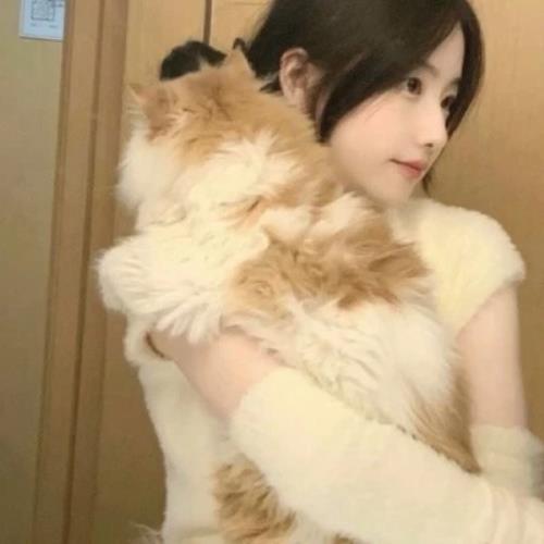 高颜值女生抱猫头像，清新可爱的抱猫女生头像推荐-6