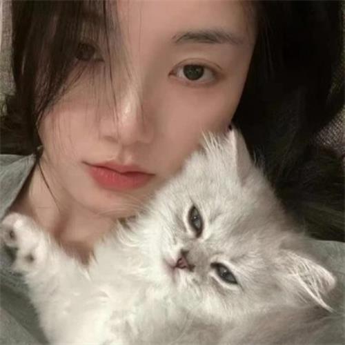 高颜值女生抱猫头像，清新可爱的抱猫女生头像推荐-28