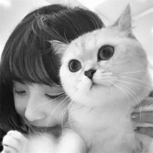 黑白系女生抱猫头像真人图片，黑系抱猫的女头像图片 - 时尚黑白系女生抱猫头像照片分享-40